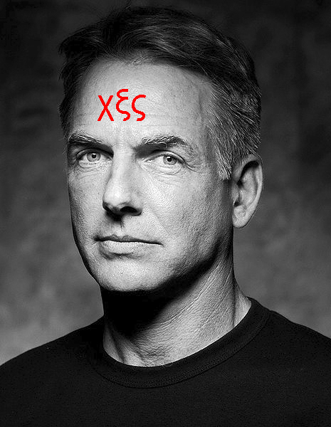 Mark Harmon as Special Agent Gibbs in NCIS recruited to promote homosexuality.
