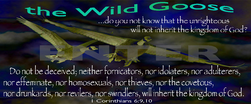 the Wild Goose
